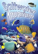 Saltwater Aquarium Vision!