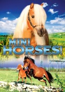 Mini Horses!