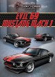  Evil 69 Mach 1: Ford Mustang DHC 351 Series