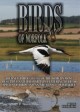 Birds Of Norfolk: A Bird Watchers Dream